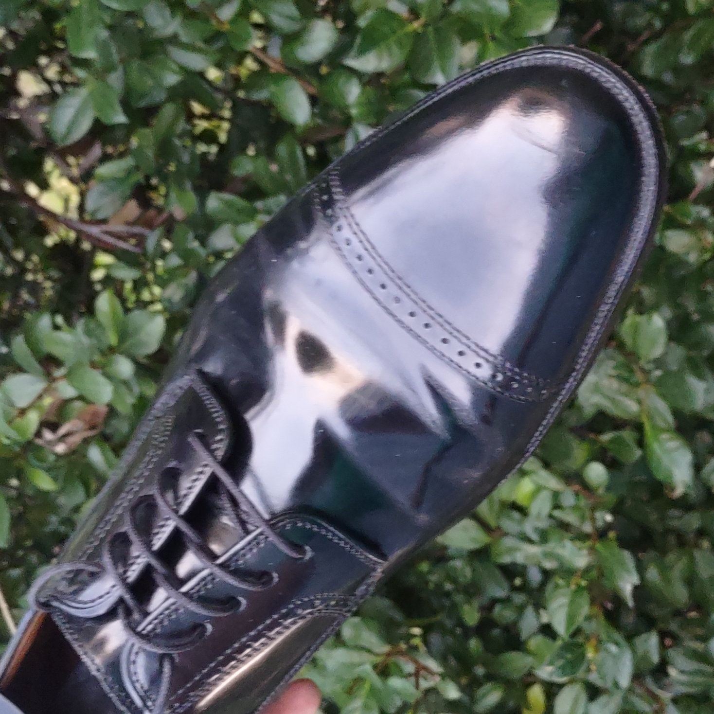 Johnston Murphy Men's Bradford Perf Cap Toe 15-1771 Jet Black